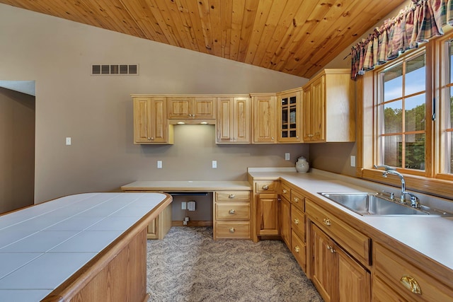 5386 165th St NE, Atwater, MN 56209 - kitchen featuring lofted ceiling, a sink, light carpet, wood ceiling, and light countertops