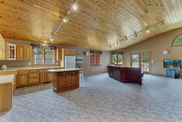 5386 165th St NE, Atwater, MN 56209 - kitchen with rail lighting, freestanding refrigerator, vaulted ceiling, a sink, and open floor plan