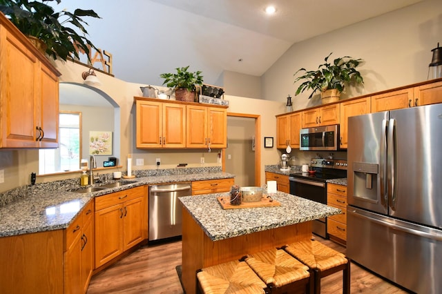 201 Ridge Dr, Kenyon, MN 55946 - kitchen featuring appliances with stainless steel finishes, a sink, light wood finished floors, light stone countertops, and high vaulted ceiling