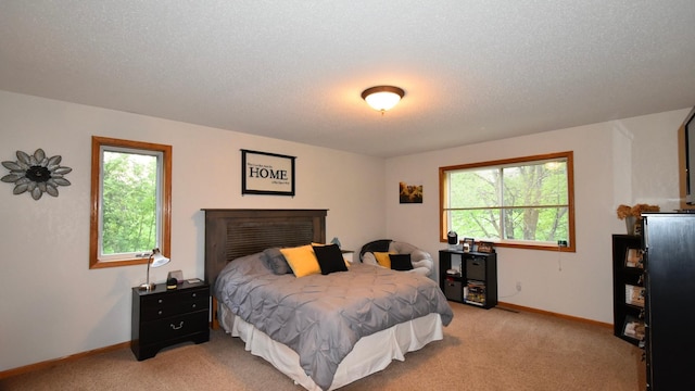 201 Ridge Dr, Kenyon, MN 55946 - bedroom with multiple windows, light carpet, baseboards, and a textured ceiling