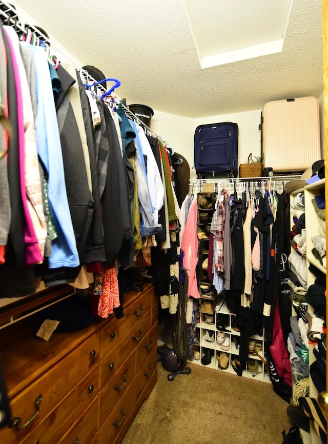 201 Ridge Dr, Kenyon, MN 55946 - spacious closet featuring carpet