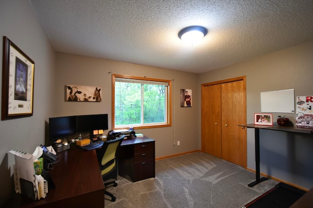 201 Ridge Dr, Kenyon, MN 55946 - carpeted office with a textured ceiling and baseboards