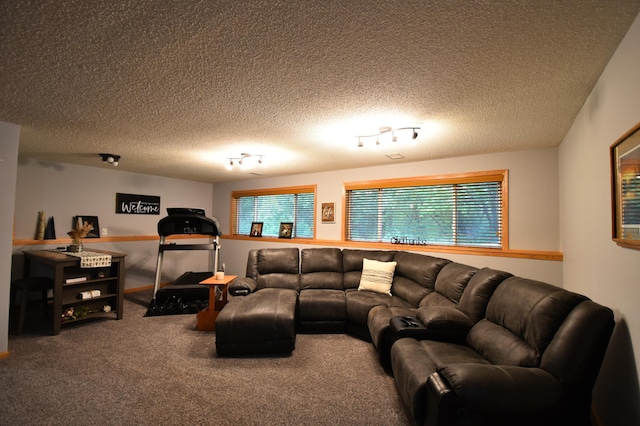 201 Ridge Dr, Kenyon, MN 55946 - living room with carpet flooring