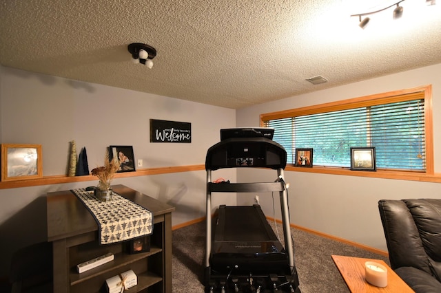201 Ridge Dr, Kenyon, MN 55946 - exercise area with carpet floors, a textured ceiling, and baseboards