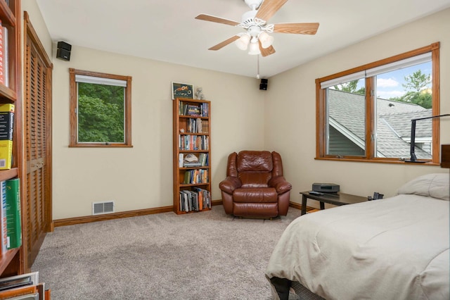 7250 Maplewood Rd, Dahlgren Twp, MN 55322 - photo 27
