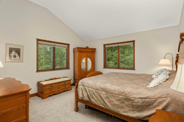 7250 Maplewood Rd, Dahlgren Twp, MN 55322 - photo 28