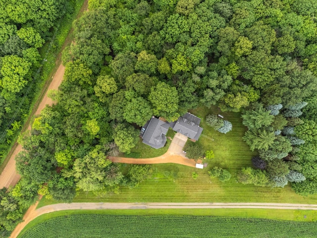 7250 Maplewood Rd, Dahlgren Twp, MN 55322 - photo 41