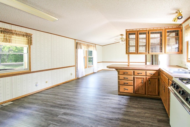 3146 Green Bay Rd, Sturgeon Lake, MN 55783 - kitchen with white gas range, a textured ceiling, a sink, dark wood-style flooring, and brown cabinetry