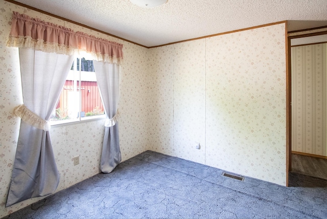 3146 Green Bay Rd, Sturgeon Lake, MN 55783 - spare room with ornamental molding, carpet flooring, and a textured ceiling