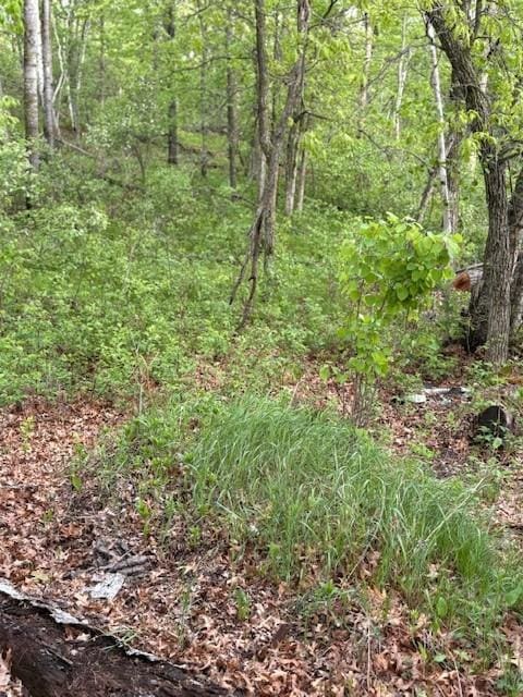30548 Barkwood Trl, Breezy Point, MN 56472