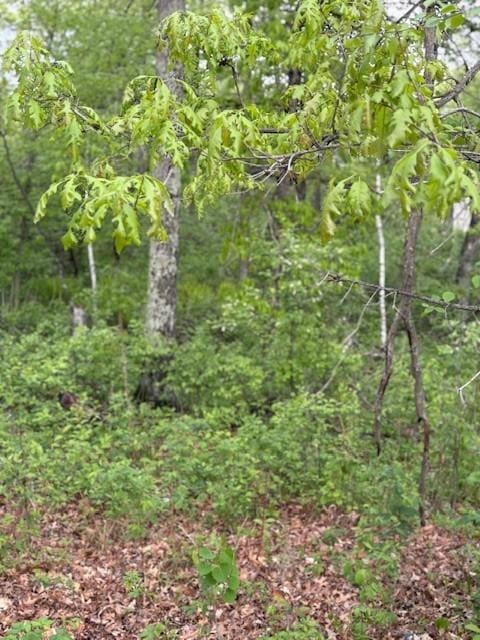 30548 Barkwood Trl, Breezy Point, MN 56472