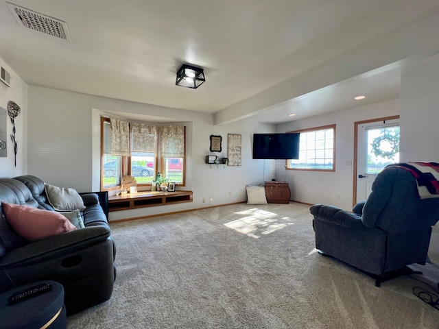 404 1st St S, Hoffman, MN 56339 - living area featuring carpet and baseboards
