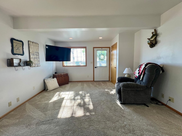 404 1st St S, Hoffman, MN 56339 - carpeted living room featuring baseboards and recessed lighting
