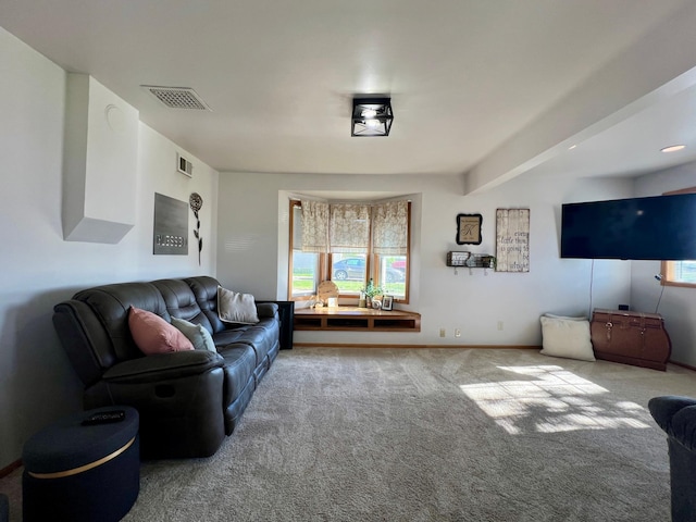 404 1st St S, Hoffman, MN 56339 - living room with healthy amount of natural light, carpet flooring, and baseboards