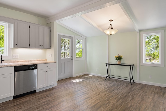 7149 92nd Ave SW, Lemond Twp, MN 56026 - kitchen with dishwasher, dark wood-style flooring, baseboards, and a sink
