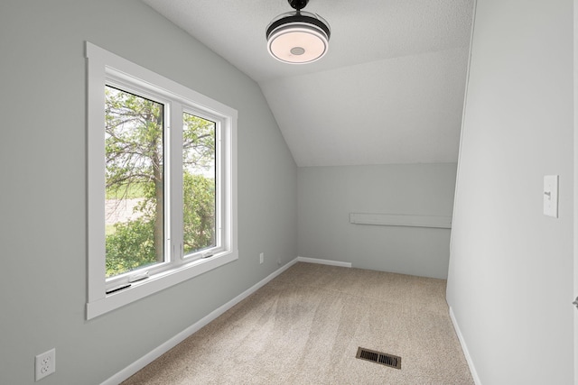 7149 92nd Ave SW, Lemond Twp, MN 56026 - additional living space with vaulted ceiling, carpet, and baseboards
