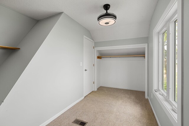 7149 92nd Ave SW, Lemond Twp, MN 56026 - spacious closet with carpet and vaulted ceiling