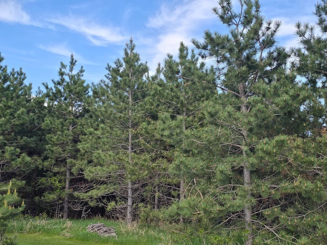 21824 County Highway 20, Lake Eunice Twp, MN 56501 - view of nature