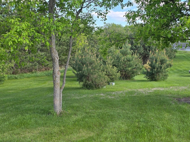 21824 County Highway 20, Lake Eunice Twp, MN 56501 - view of green lawn