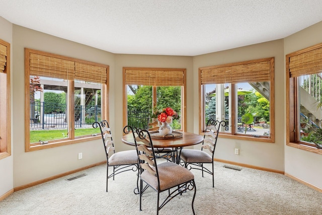11565 Palisade Ct NE, Blaine, MN 55449 - dining space with carpet flooring and plenty of natural light