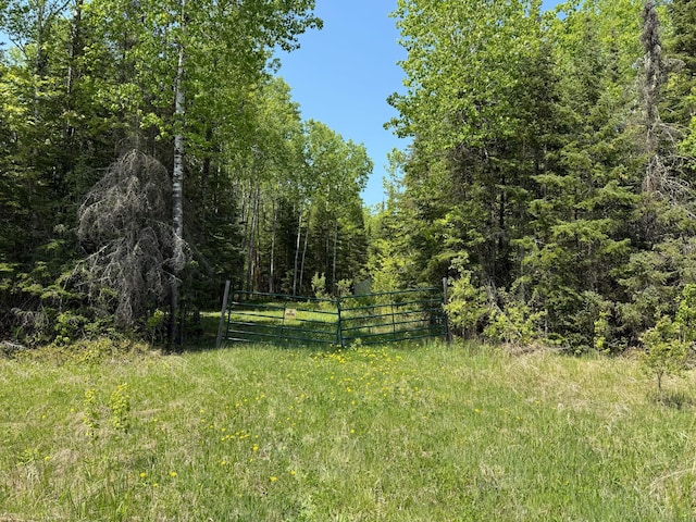 TBD County Road 526, Nashwauk, MN 55769