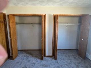 405 16th Ave NE, Waseca, MN 56093 - view of closet