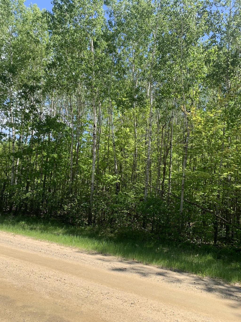 TBD 63rd Ave N, Walker, MN 56484
