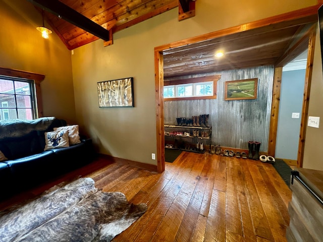 40580 Bow Trl, Nerstrand, MN 55053 - living area with wood-type flooring, plenty of natural light, and wood ceiling