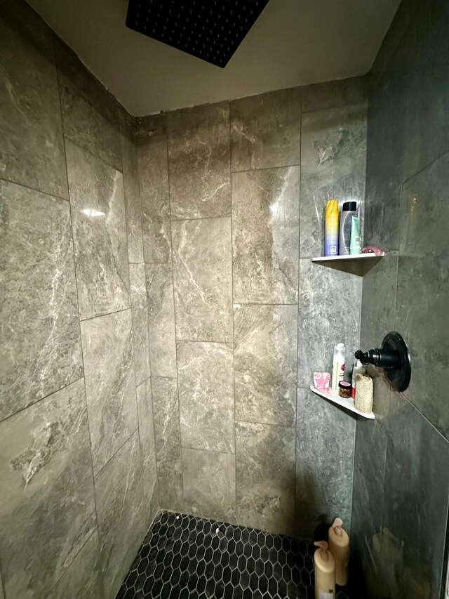 40580 Bow Trl, Nerstrand, MN 55053 - bathroom featuring tiled shower