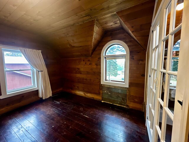 40580 Bow Trl, Nerstrand, MN 55053 - bonus room featuring vaulted ceiling, dark wood-style floors, wooden ceiling, and wooden walls