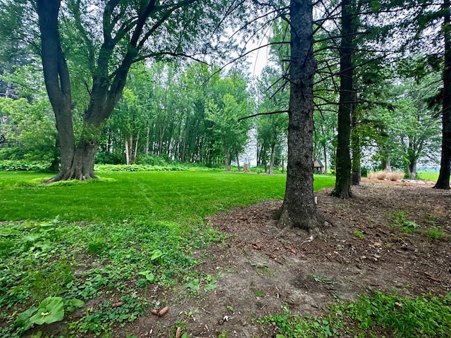 40580 Bow Trl, Nerstrand, MN 55053 - view of green lawn