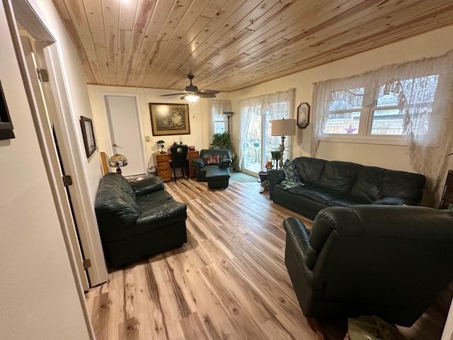440 2nd St NW, Ortonville, MN 56278 - photo 19