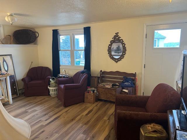 440 2nd St NW, Ortonville, MN 56278 - photo 28