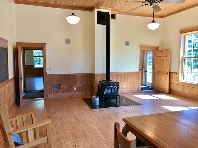 35379 215th Ave, Eagle Valley Twp, MN 56440 - unfurnished living room featuring a wainscoted wall, wood-type flooring, crown molding, a wood stove, and healthy amount of natural light