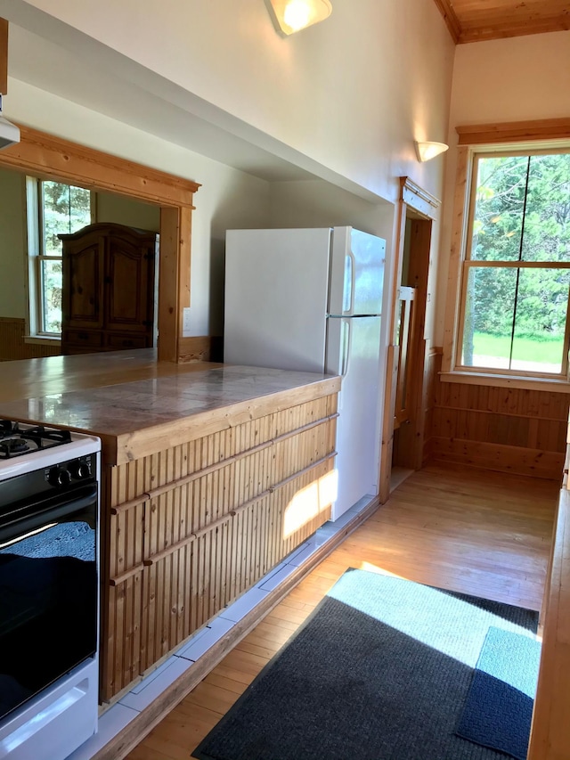 35379 215th Ave, Eagle Valley Twp, MN 56440 - kitchen with freestanding refrigerator, light wood-style floors, gas stove, a wainscoted wall, and ornamental molding