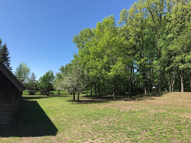 35379 215th Ave, Eagle Valley Twp, MN 56440 - view of green lawn