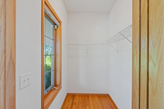 27285 Cambodia Ave, Castle Rock Twp, MN 55024 - spacious closet featuring light wood-style floors