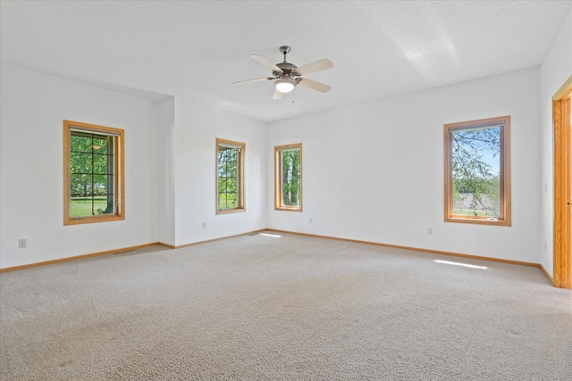 27285 Cambodia Ave, Castle Rock Twp, MN 55024 - empty room featuring plenty of natural light, baseboards, and carpet