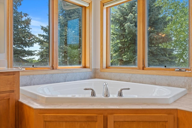27285 Cambodia Ave, Castle Rock Twp, MN 55024 - bathroom featuring a garden tub and plenty of natural light