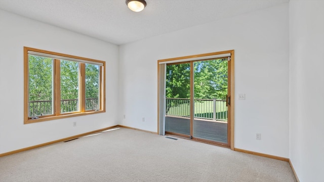 27285 Cambodia Ave, Castle Rock Twp, MN 55024 - carpeted spare room with healthy amount of natural light and baseboards