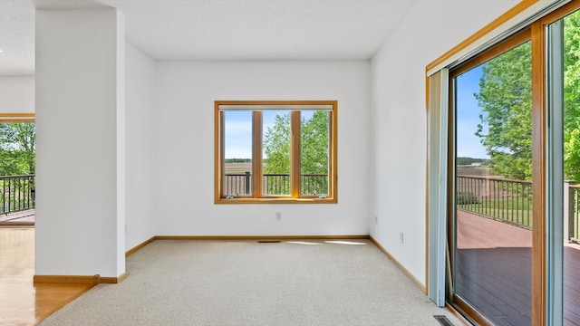 27285 Cambodia Ave, Castle Rock Twp, MN 55024 - carpeted empty room with plenty of natural light, baseboards, and a textured ceiling
