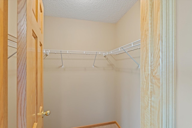 27285 Cambodia Ave, Castle Rock Twp, MN 55024 - view of walk in closet
