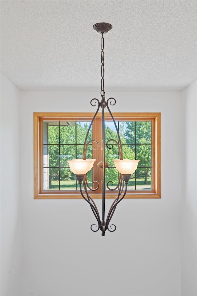 27285 Cambodia Ave, Castle Rock Twp, MN 55024 - detailed view of a textured ceiling