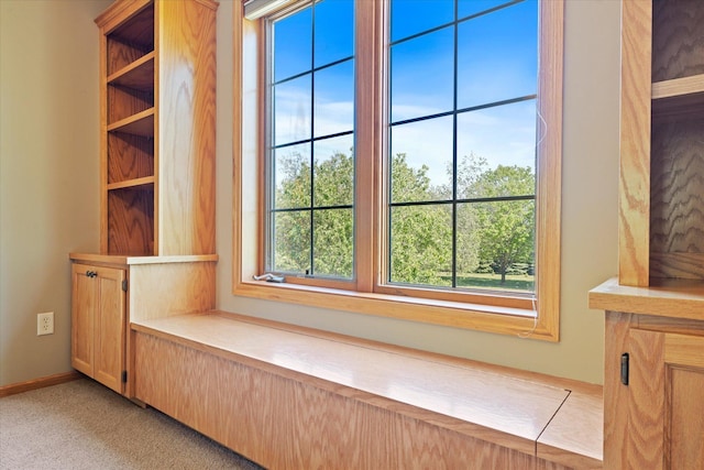 27285 Cambodia Ave, Castle Rock Twp, MN 55024 - detailed view of carpet floors