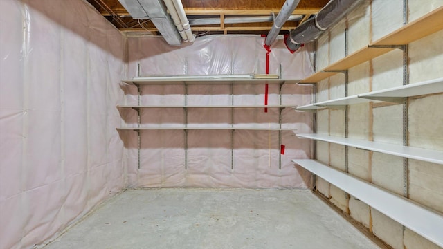 27285 Cambodia Ave, Castle Rock Twp, MN 55024 - view of storage area