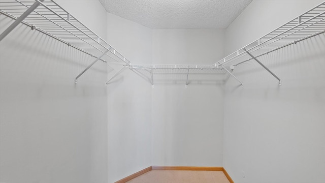 27285 Cambodia Ave, Castle Rock Twp, MN 55024 - view of spacious closet