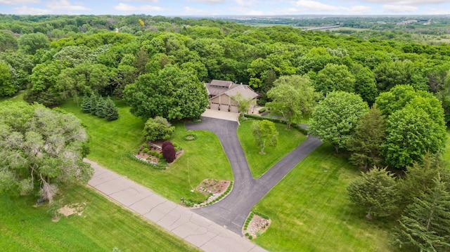 1405 Farm Rd, Chanhassen, MN 55318 - bird's eye view of a forest
