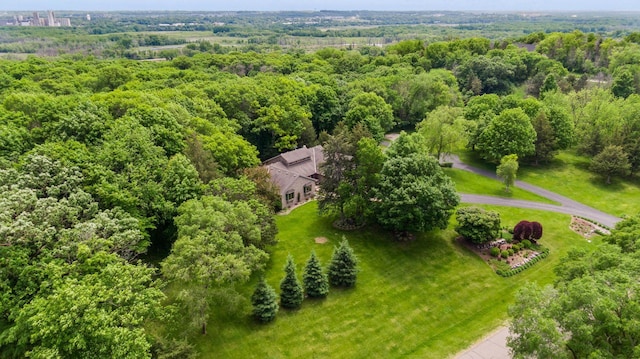 1405 Farm Rd, Chanhassen, MN 55318 - drone / aerial view of a forest
