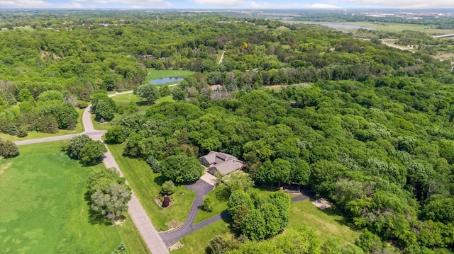 1405 Farm Rd, Chanhassen, MN 55318 - aerial view of a forest and a nearby body of water