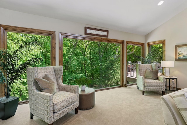 1405 Farm Rd, Chanhassen, MN 55318 - living area featuring carpet and lofted ceiling